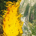 Songe à la chaude lumière - Pochette album